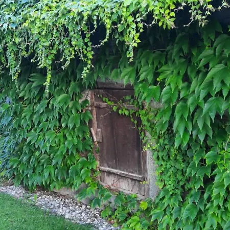 Tatil Evi Just *