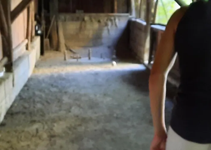 Just Сasa de vacaciones *